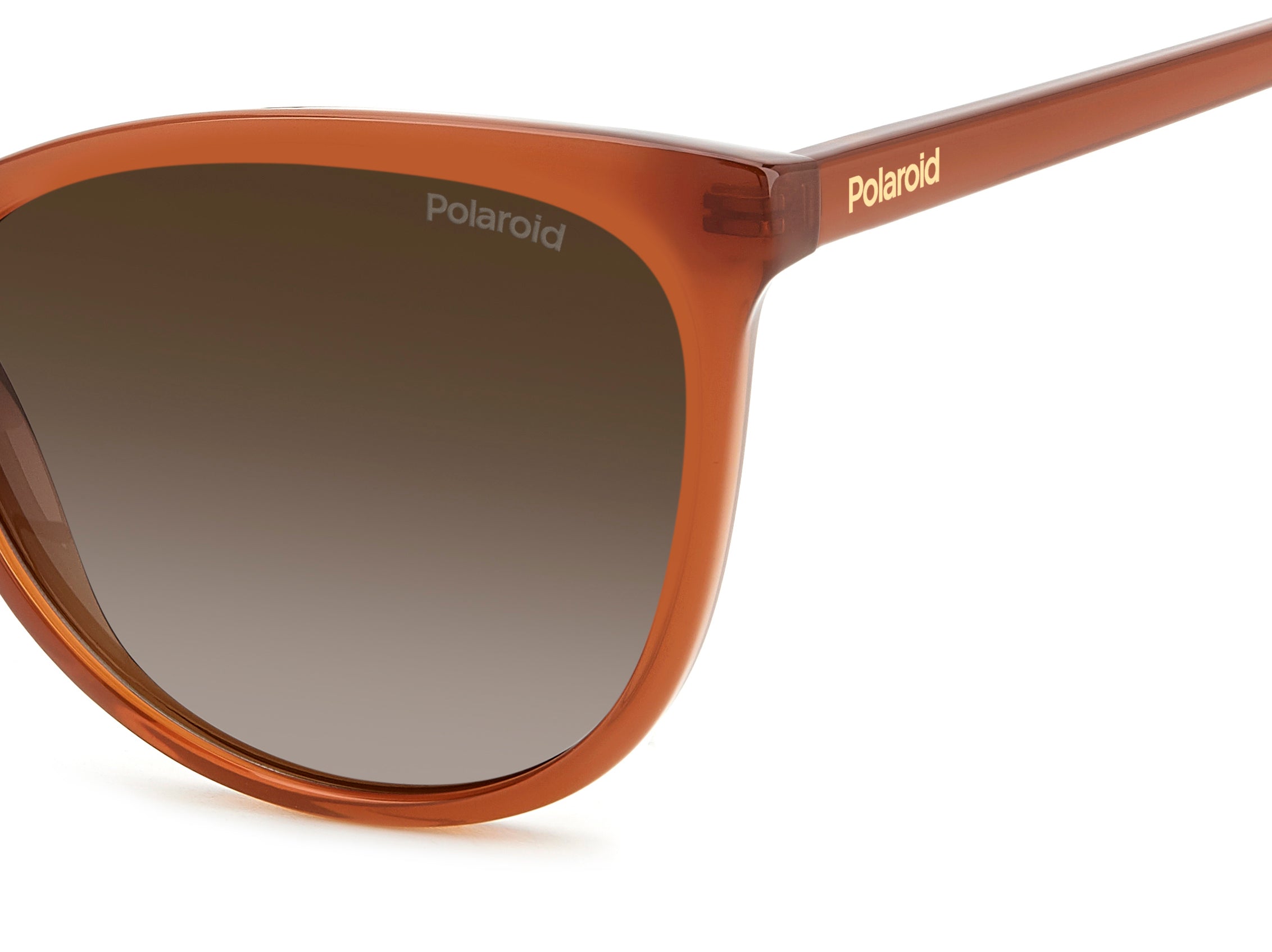 POLAROID PLD 4179/S FMP LA 55