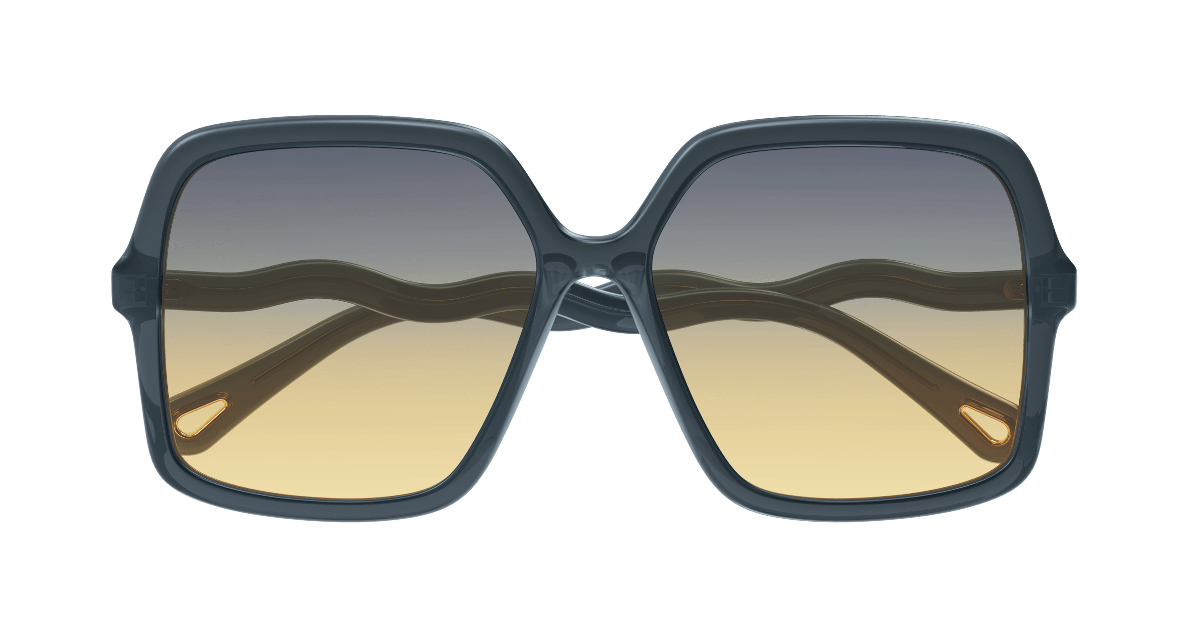 CHLOÉ CH0086S 004 58