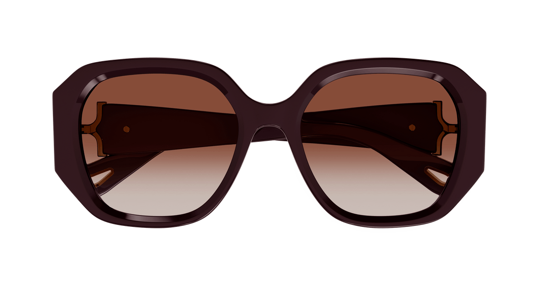 CHLOÉ CH0236S 003 56