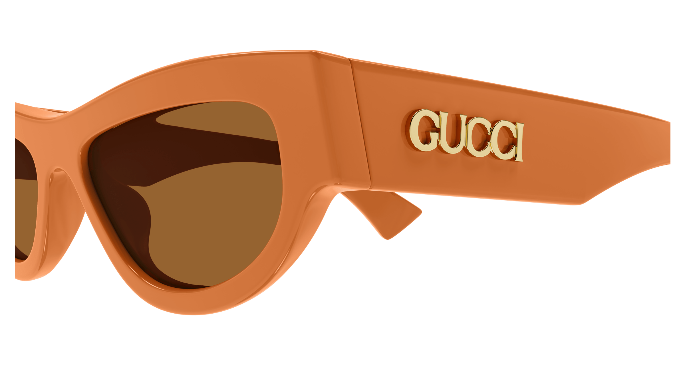 GUCCI GG1834S 005 53