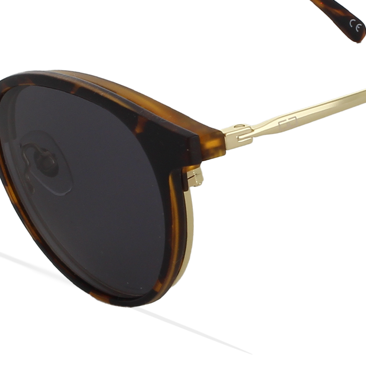 GREYHOUNDERS RODAS + CLIP-ON HAVANA 50