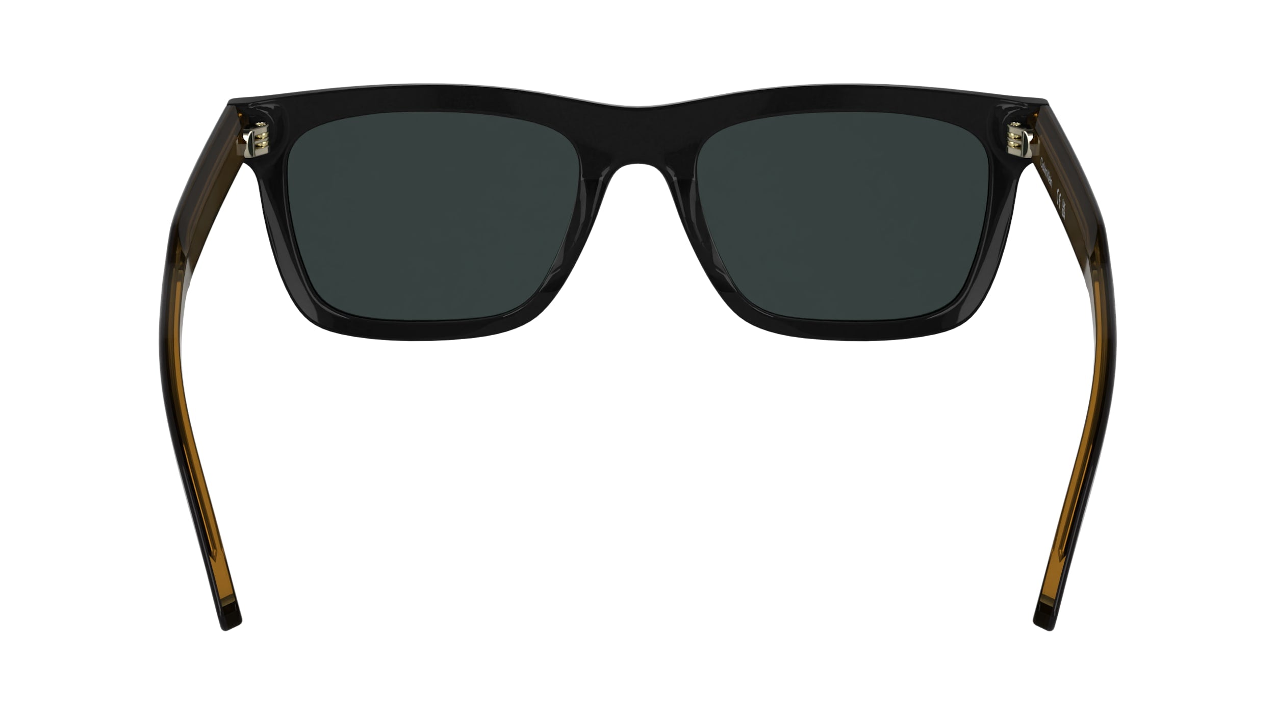 CALVIN KLEIN CK25506S 001 54