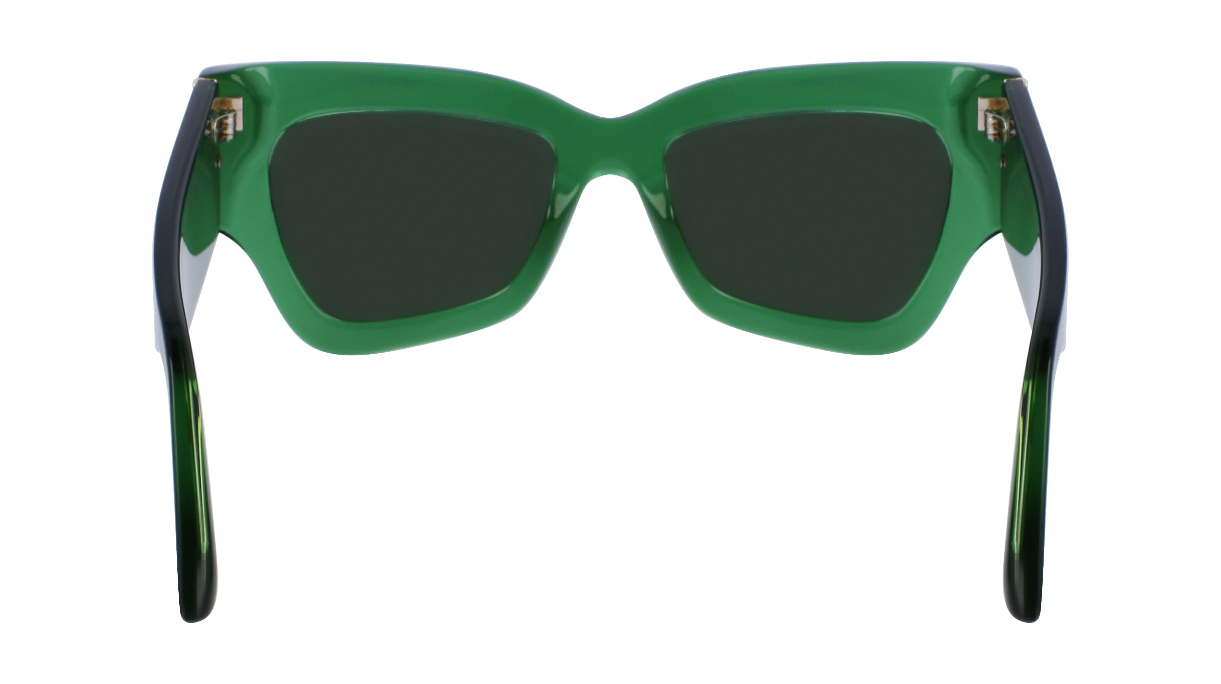 VICTORIA BECKHAM VB662S 300 52