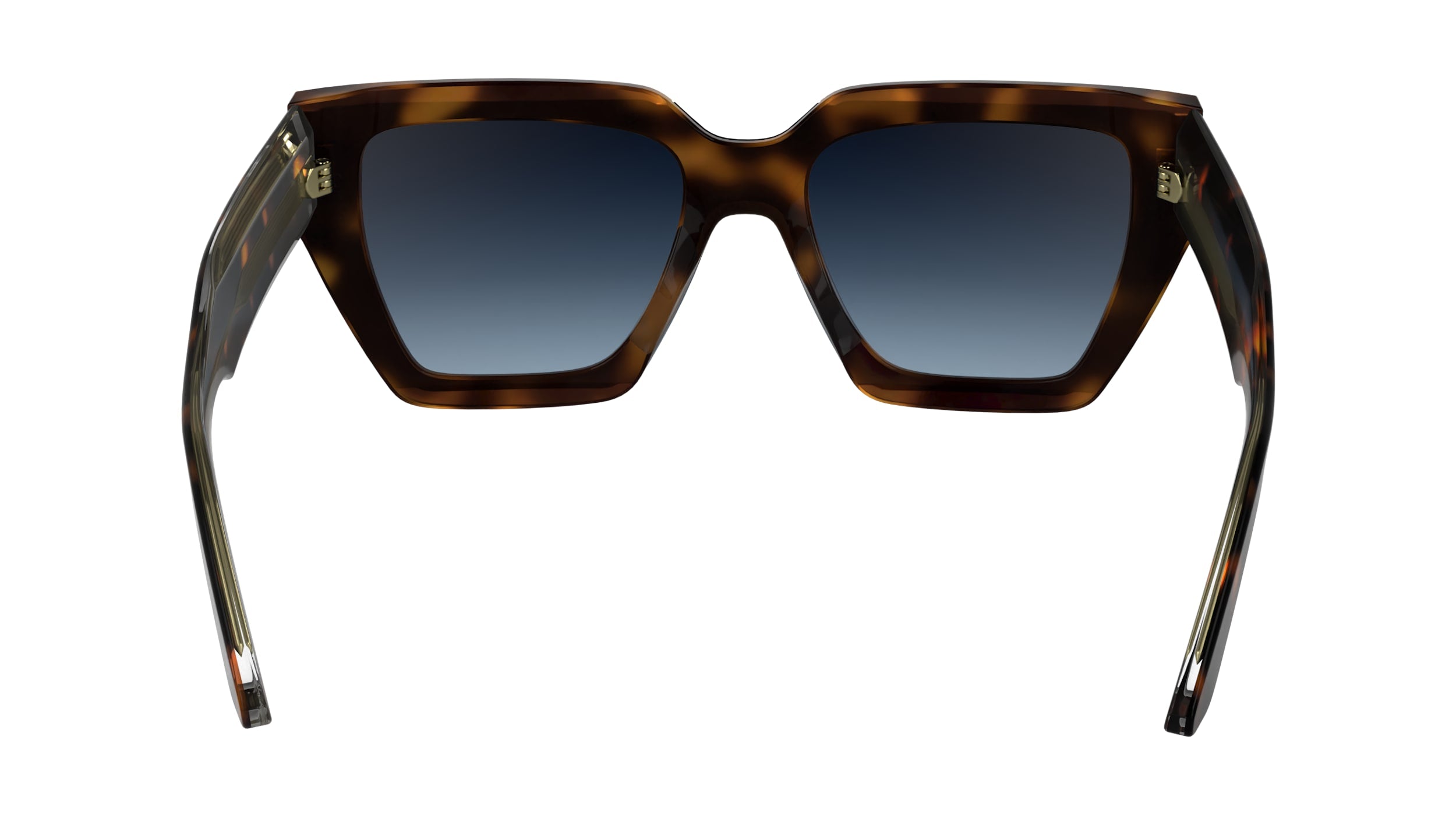 CALVIN KLEIN CK24533S 240 51