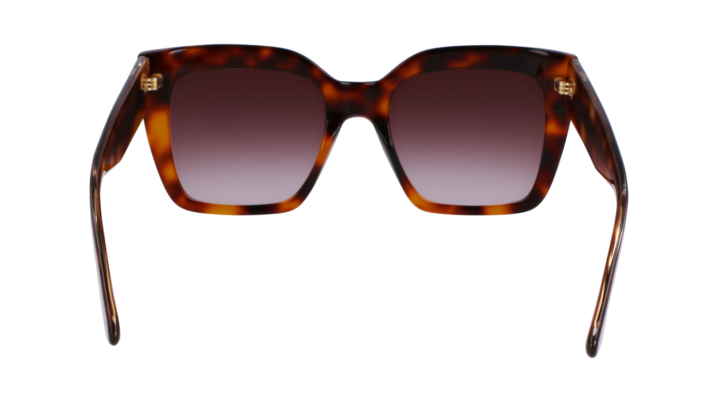 CALVIN KLEIN CK23508S 220 54