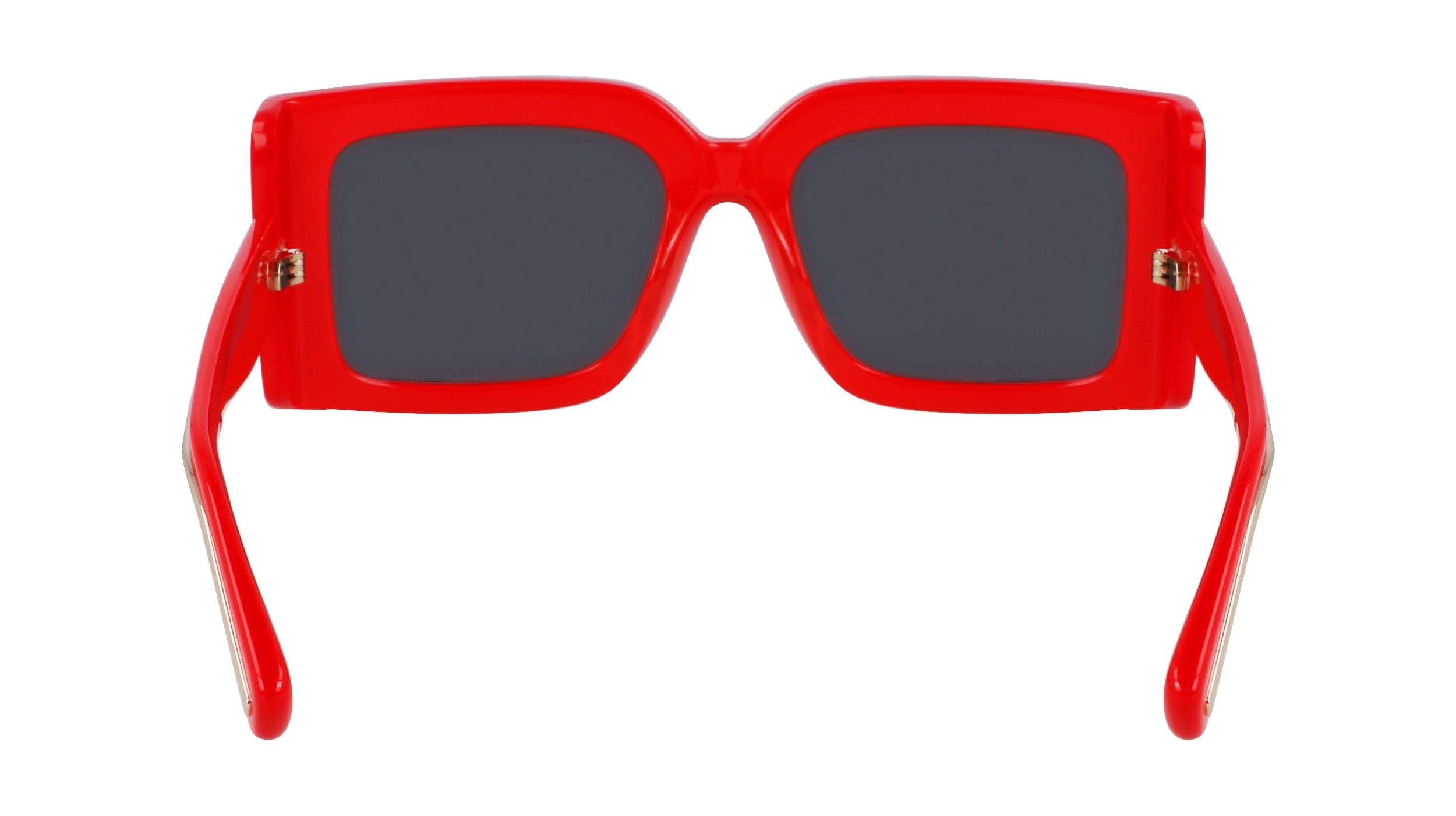 FERRAGAMO SF2032S 600 55