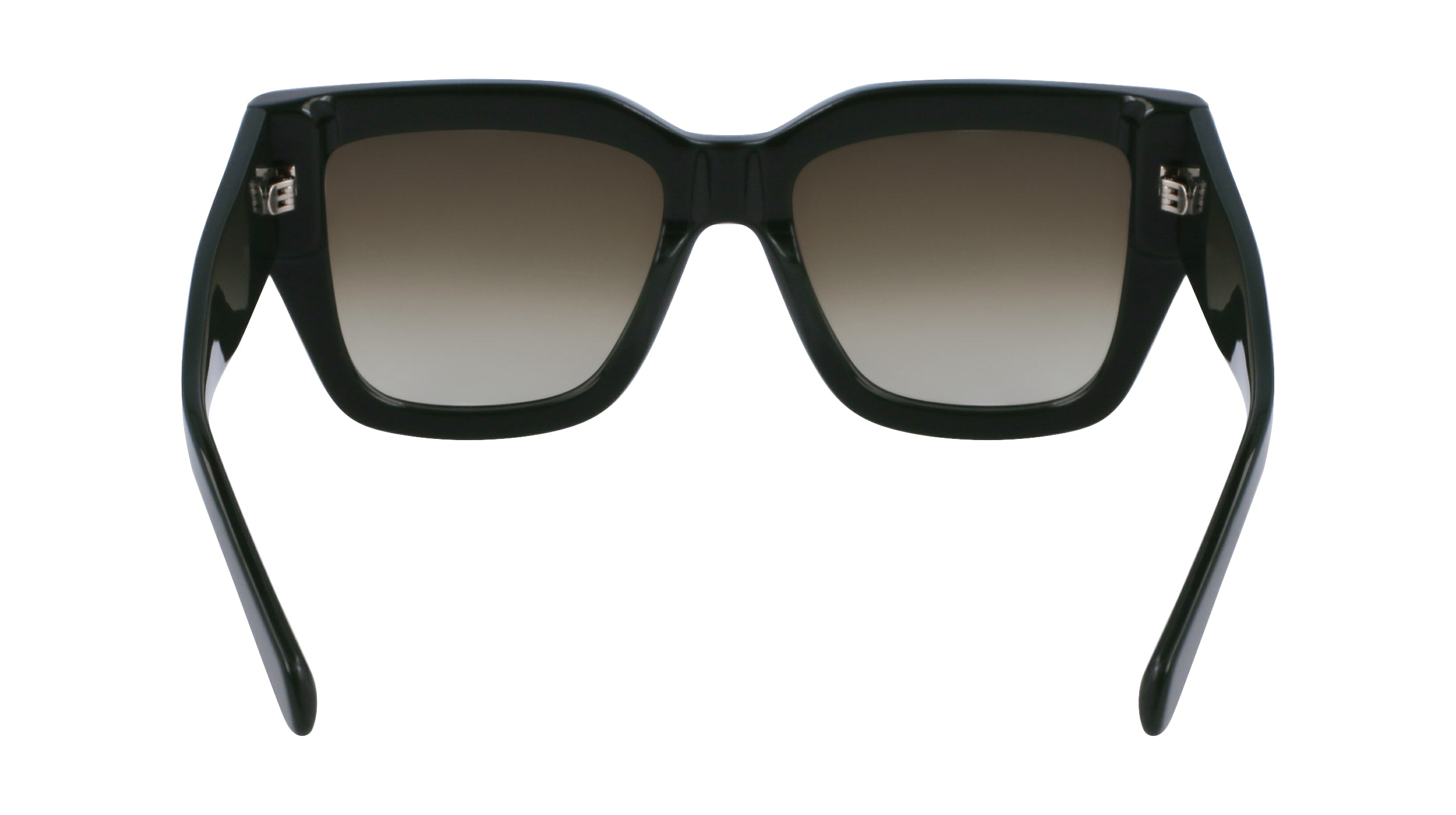 FERRAGAMO SF1104S 302 55