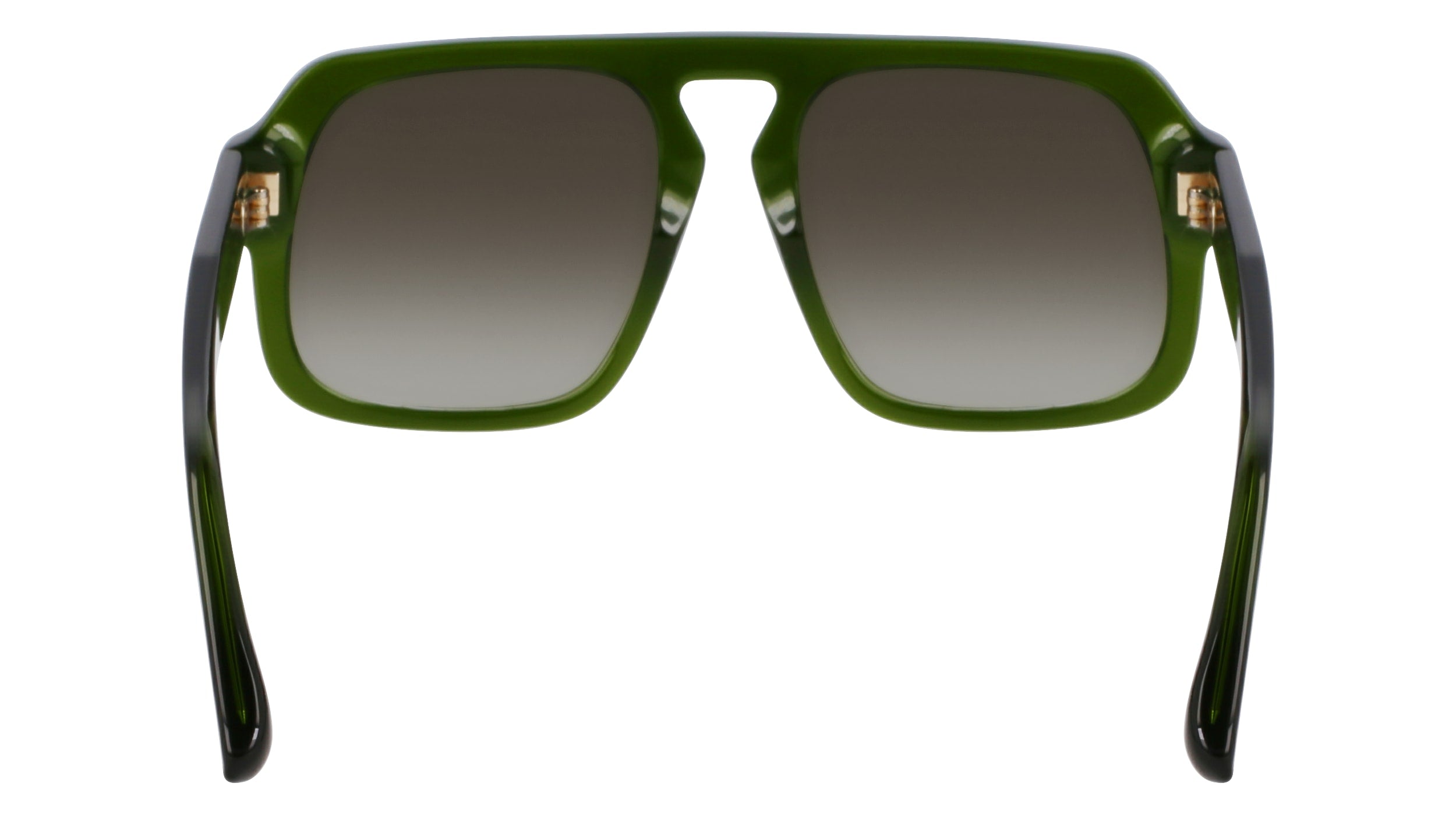 VICTORIA BECKHAM VB674S 302 53