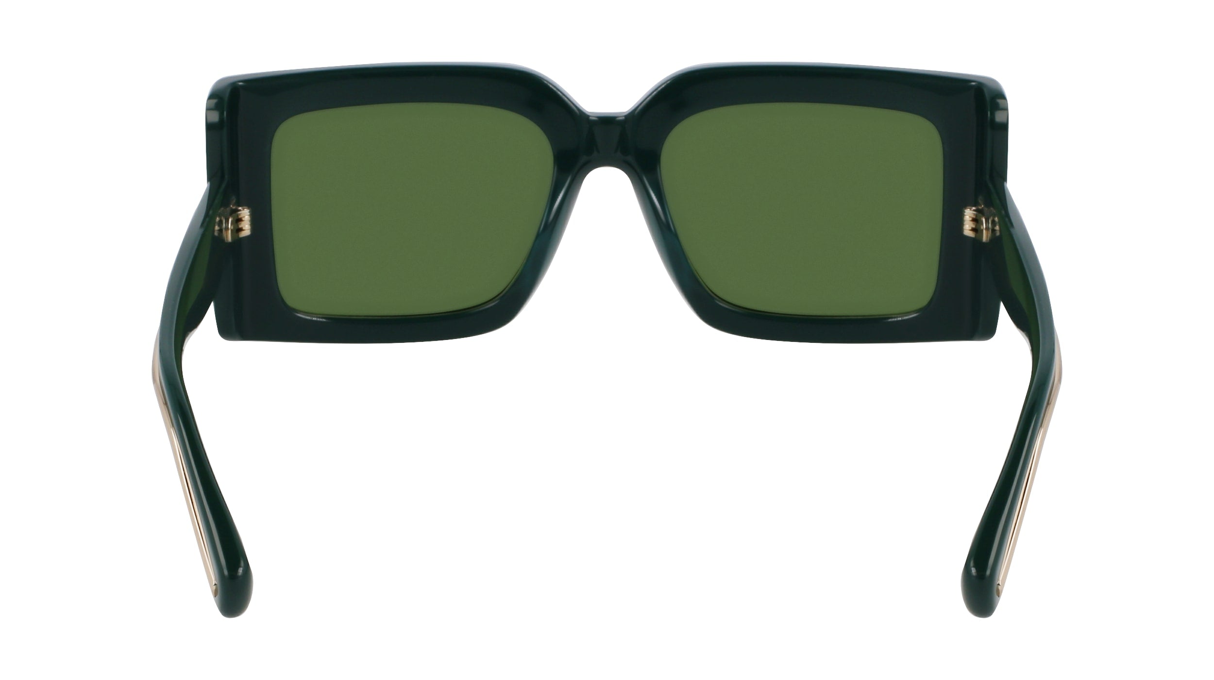 FERRAGAMO SF2032S 302 55