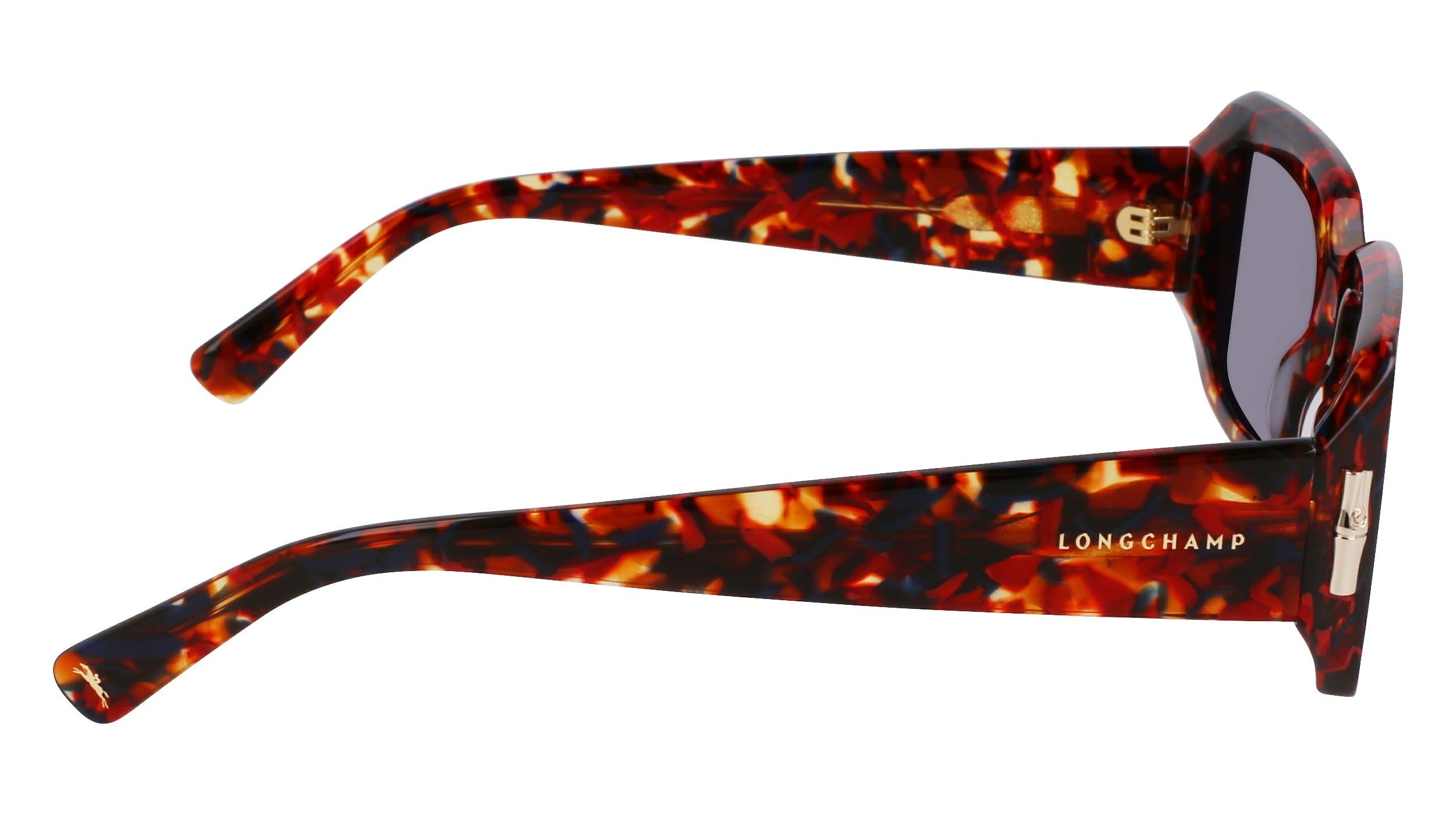 LONGCHAMP LO765S 641 53