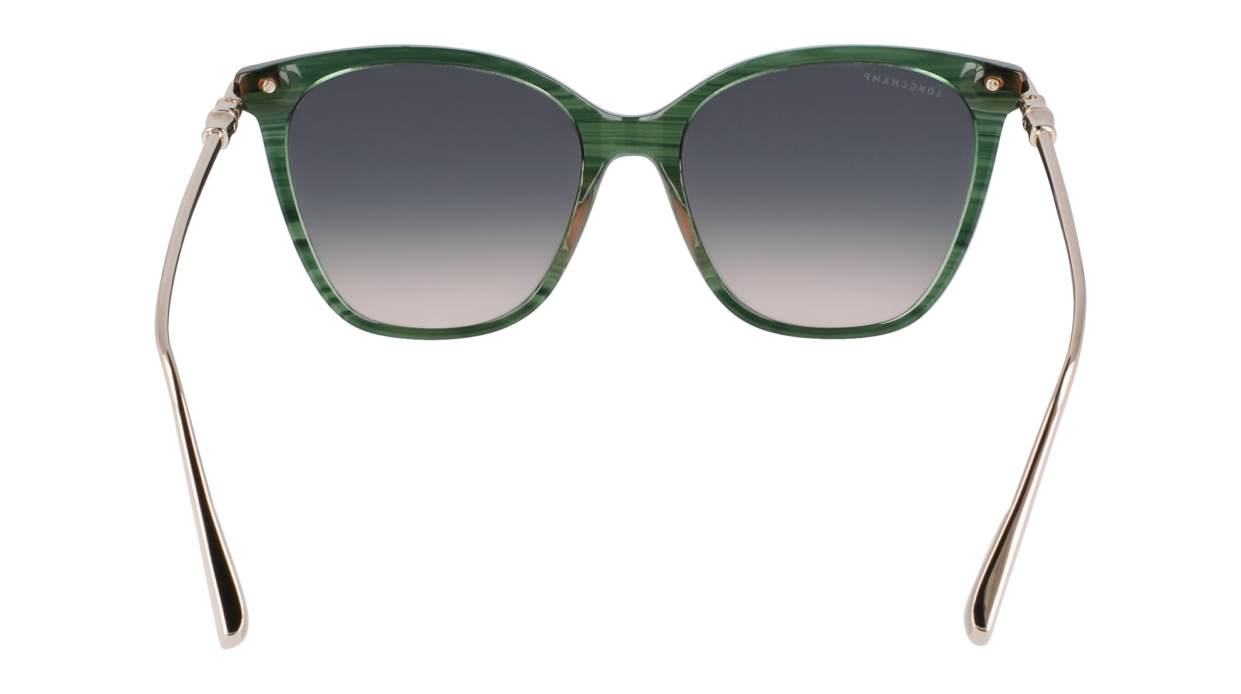 LONGCHAMP LO757S 308 55