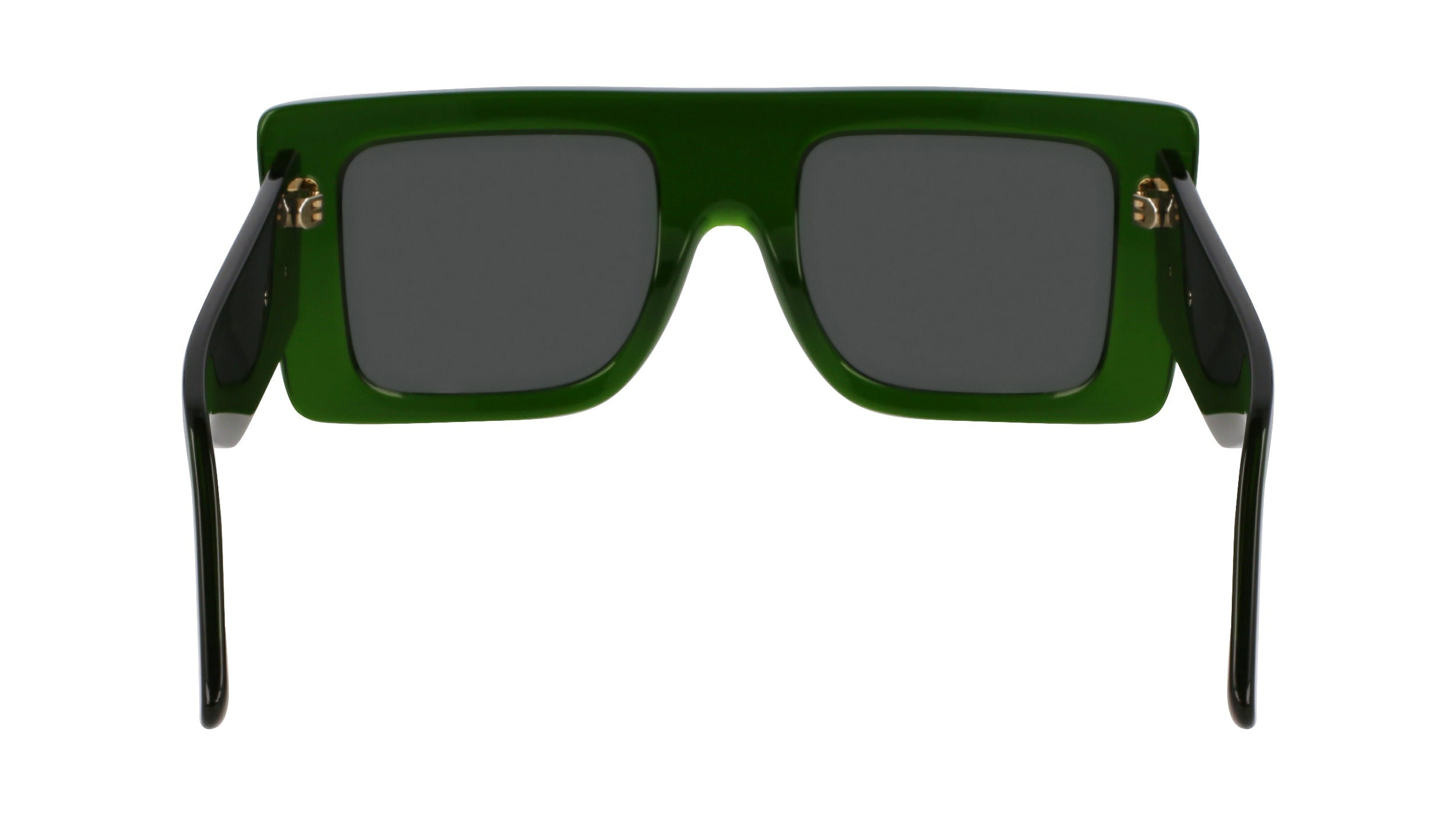 VICTORIA BECKHAM VB677S 302 51