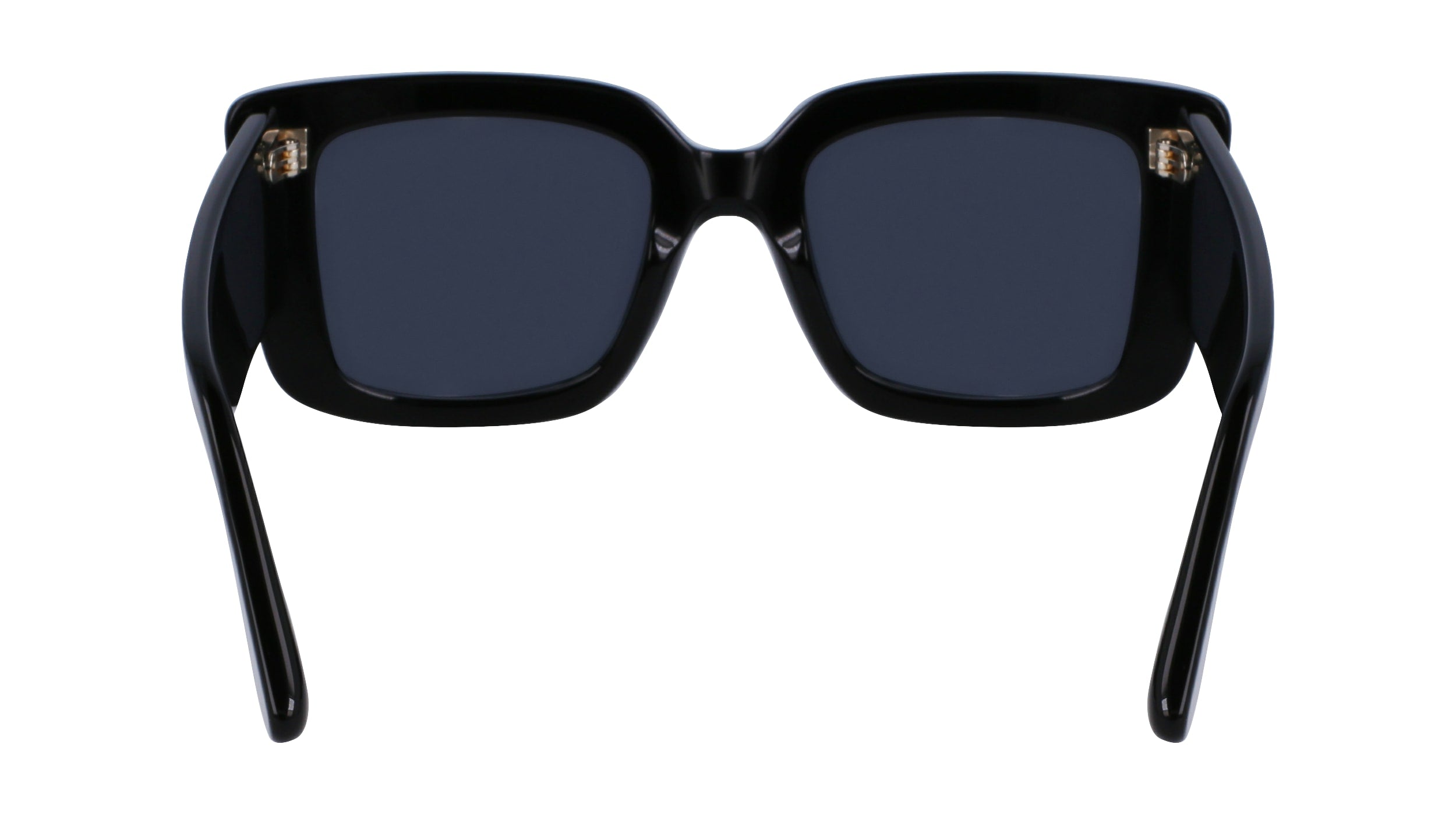 VICTORIA BECKHAM VB653S 001 52