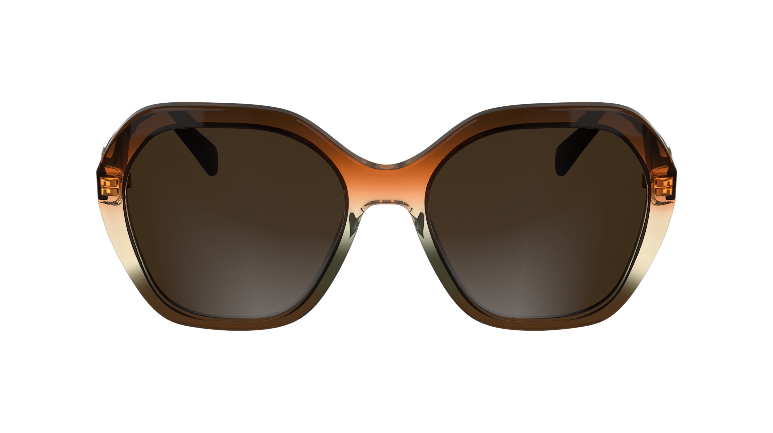 LONGCHAMP LO759S 209 54