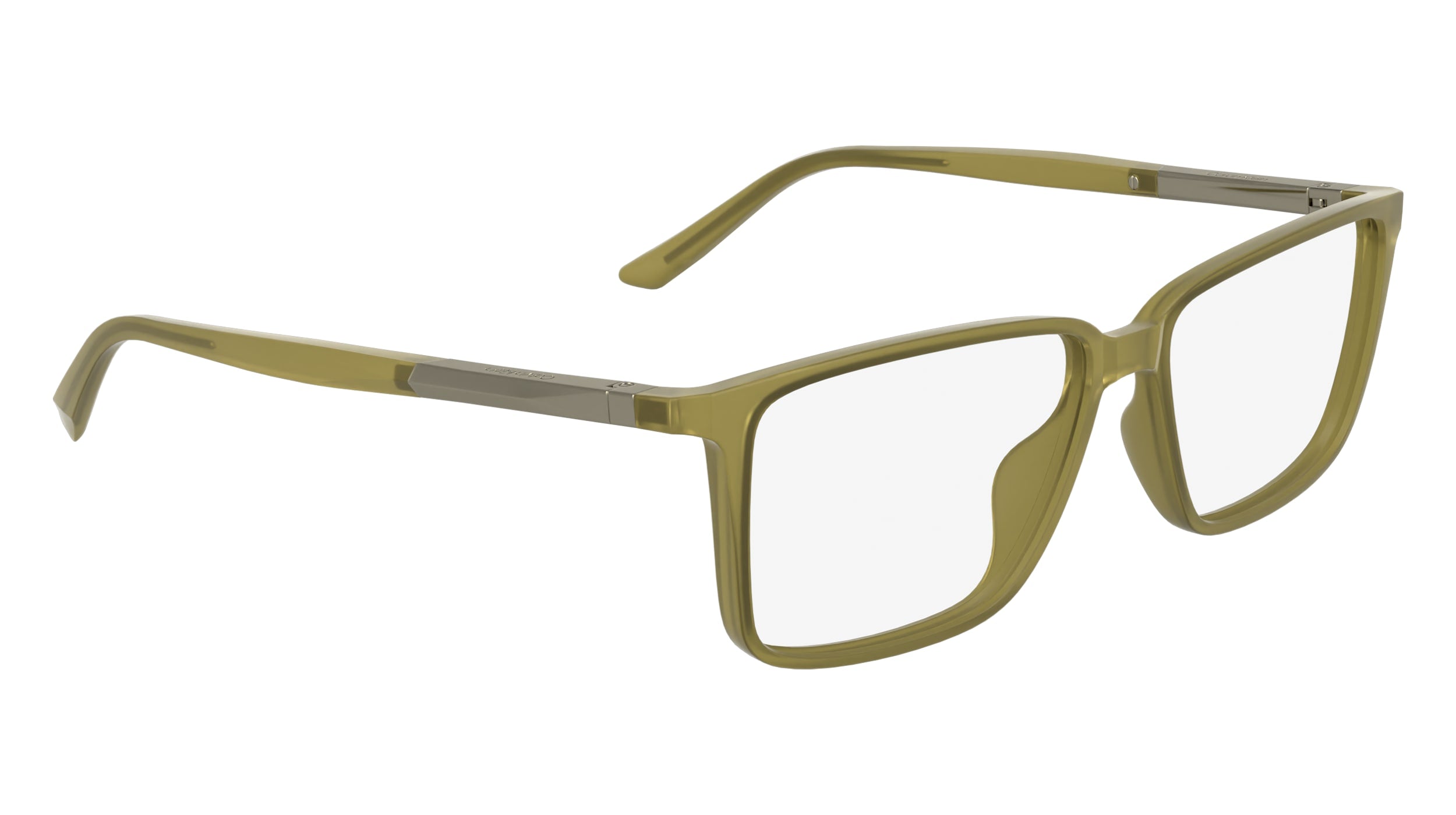 CALVIN KLEIN CK24547 261 55