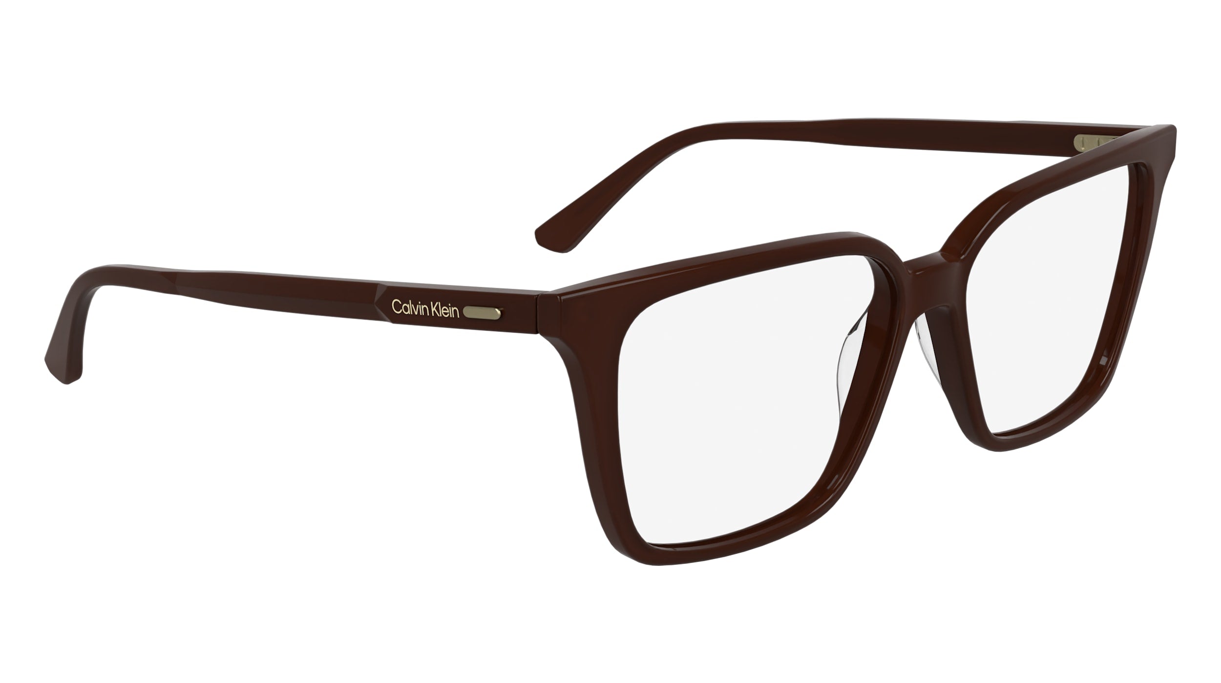 CALVIN KLEIN CK24544 601 55