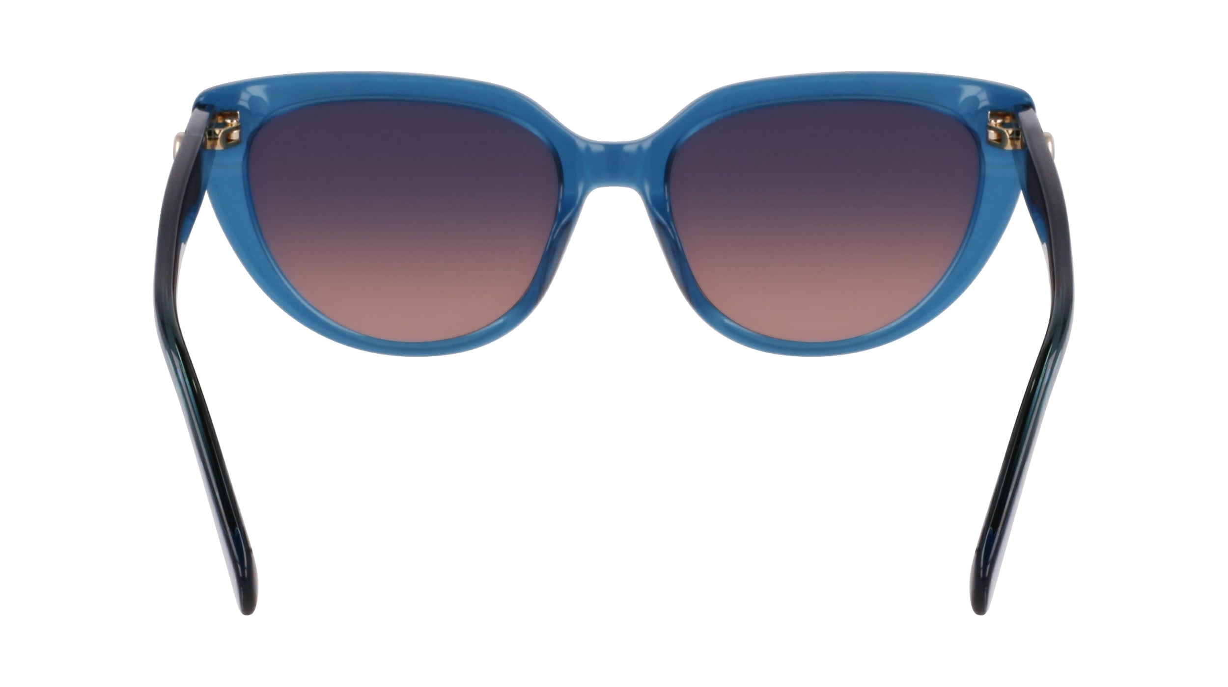 LONGCHAMP LO766S 400 53