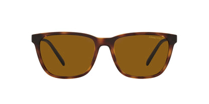 ARNETTE AN4291 CORTEX 277083 57 - 14