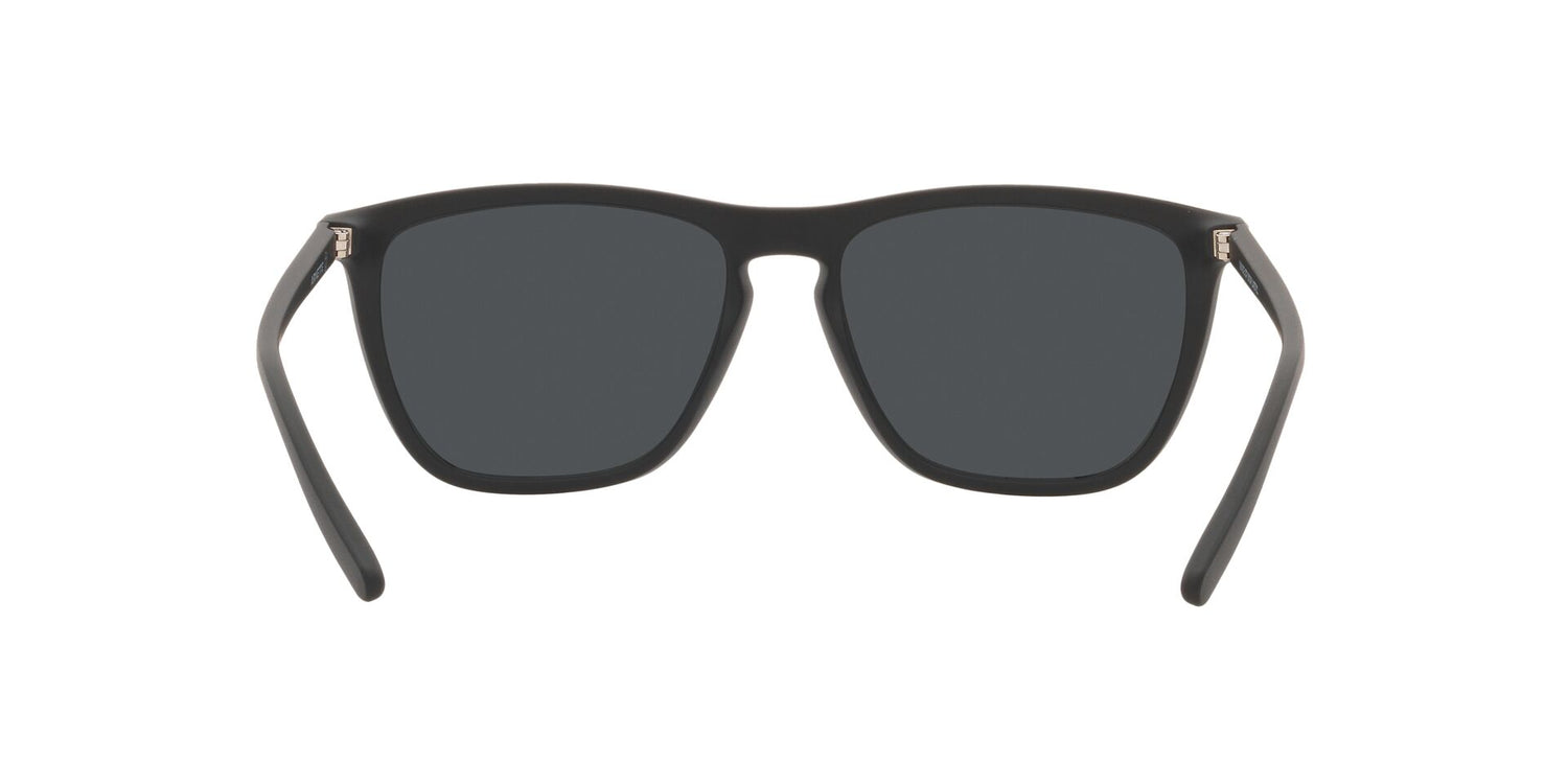 ARNETTE AN4301 FRY 275887 55 - 12