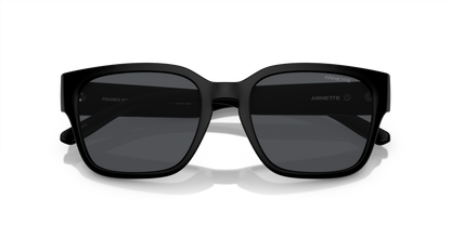 ARNETTE AN4325 HAMIE 290087 54