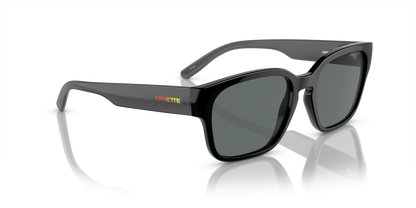 ARNETTE AN4325 HAMIE 291081 54