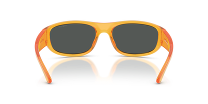 ARNETTE AN4361 GONDO 287587 61