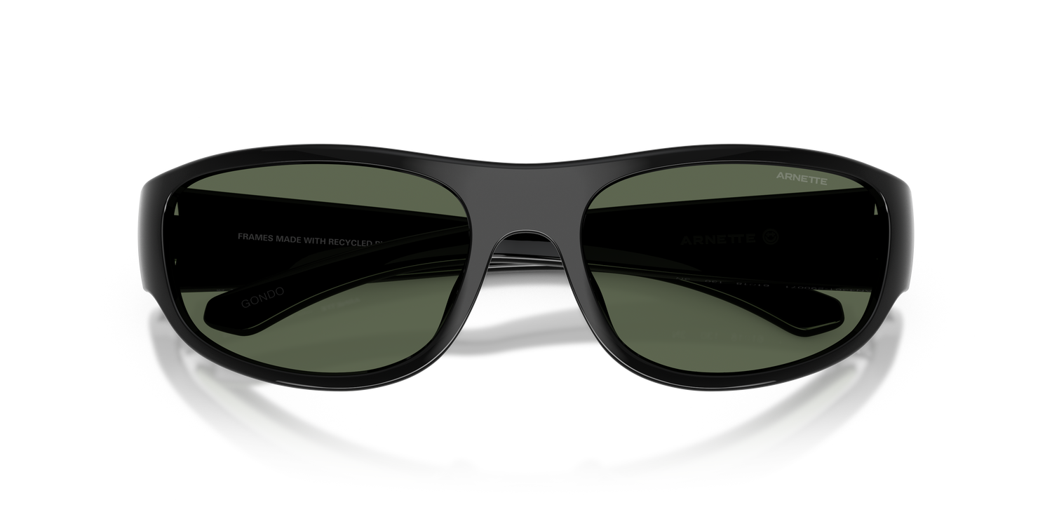 ARNETTE AN4361 GONDO 290071 61