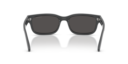 ARNETTE AN4363 DEFYER 284187 55