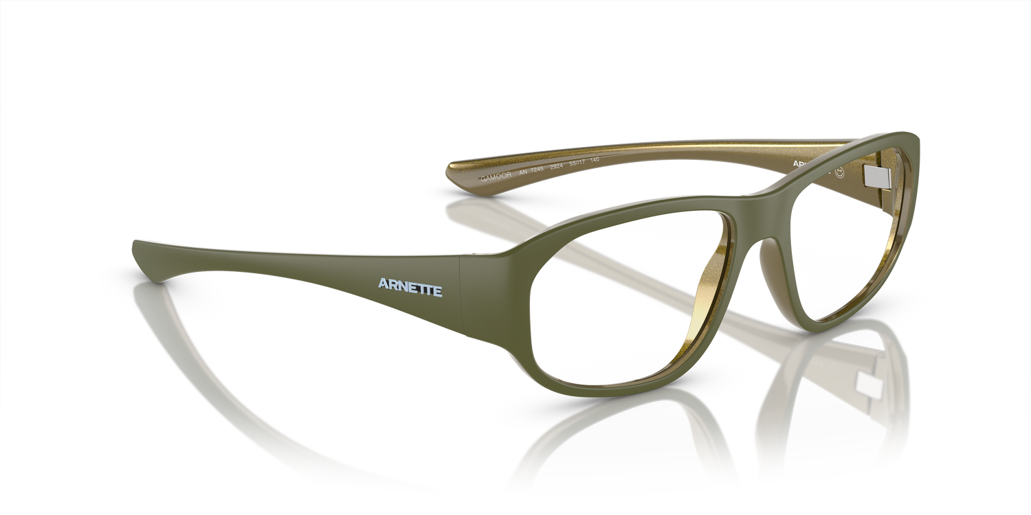 ARNETTE AN7245 GAMOOR 2924 55