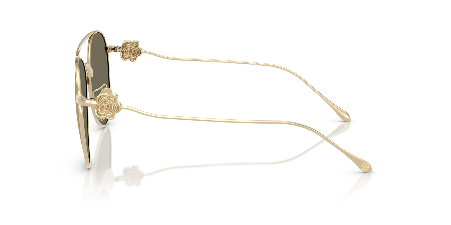 GIORGIO ARMANI AR6167 30130W 57