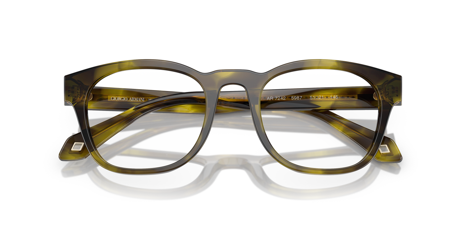 GIORGIO ARMANI AR7242 5987 49