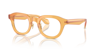 GIORGIO ARMANI AR7253 6063 47