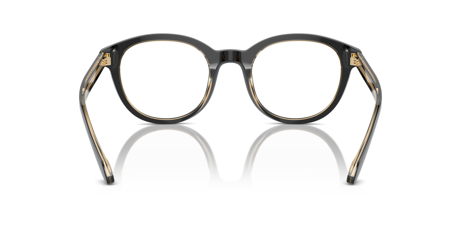 GIORGIO ARMANI AR7256 6084 48