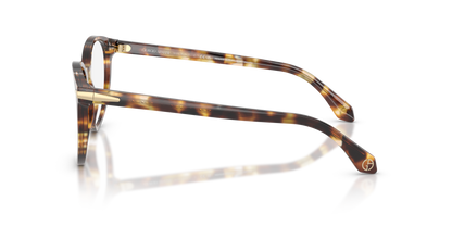 GIORGIO ARMANI AR7279 6232 50