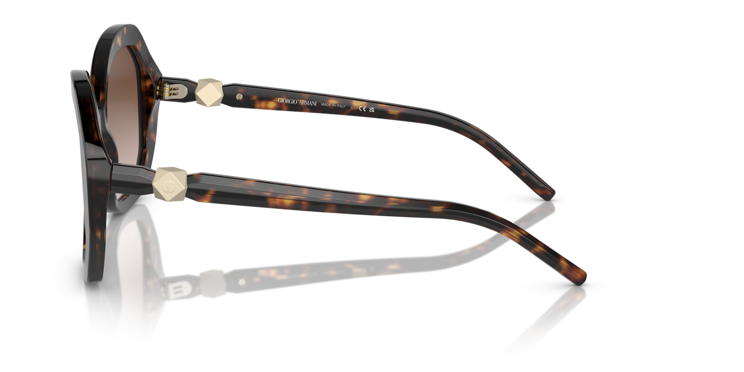 GIORGIO ARMANI AR8180 502613 54