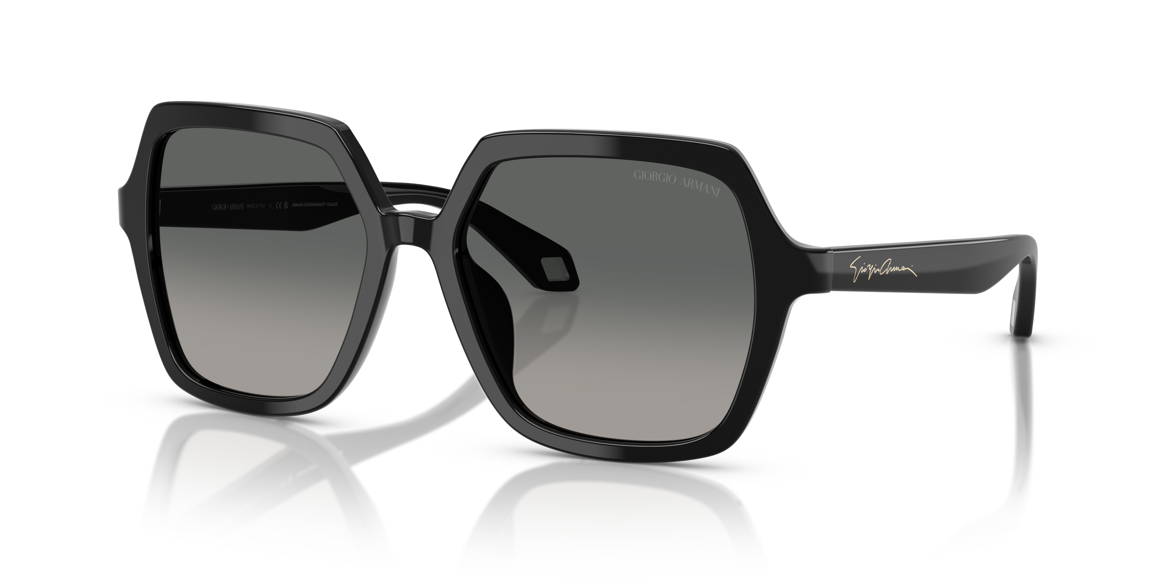 GIORGIO ARMANI AR8193U 500119 55