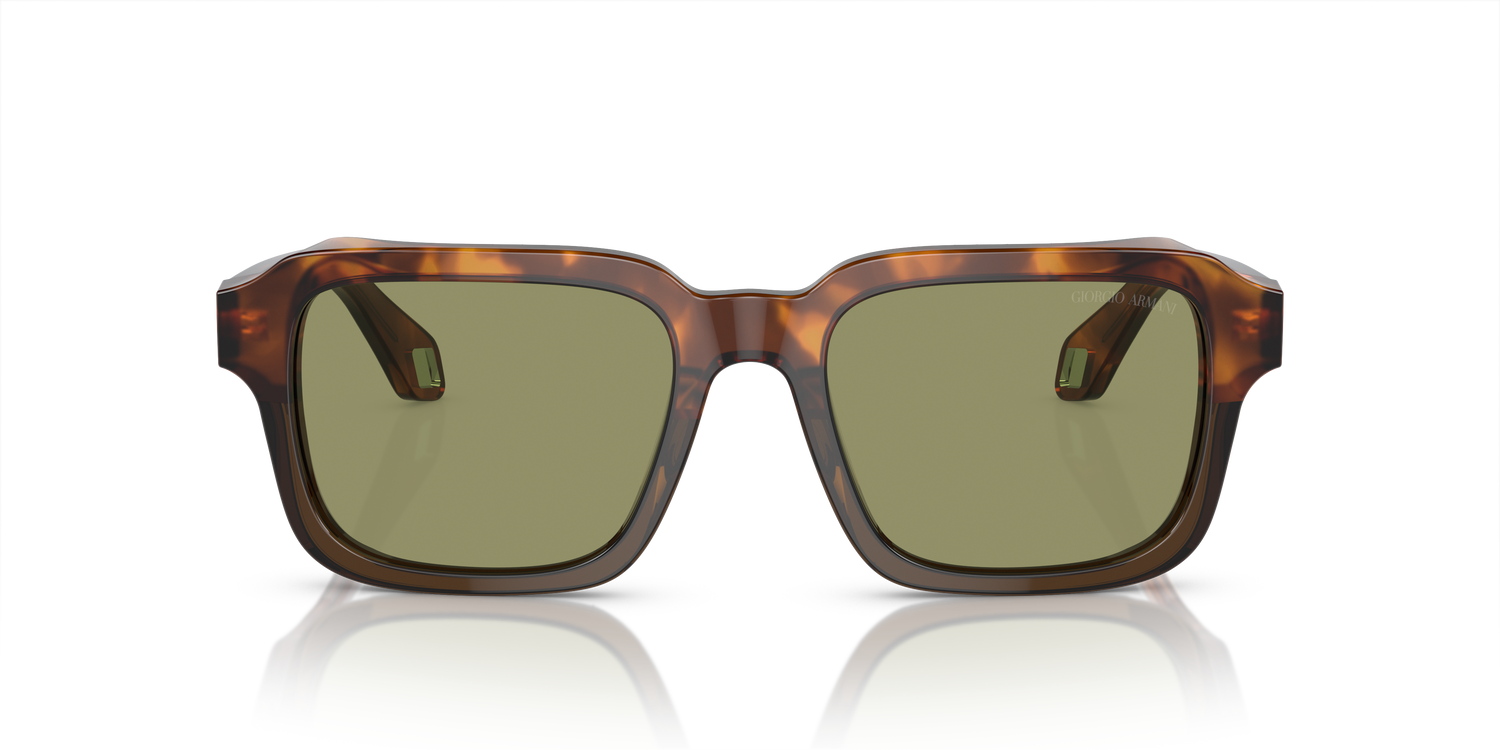 GIORGIO ARMANI AR8194U 598814 53