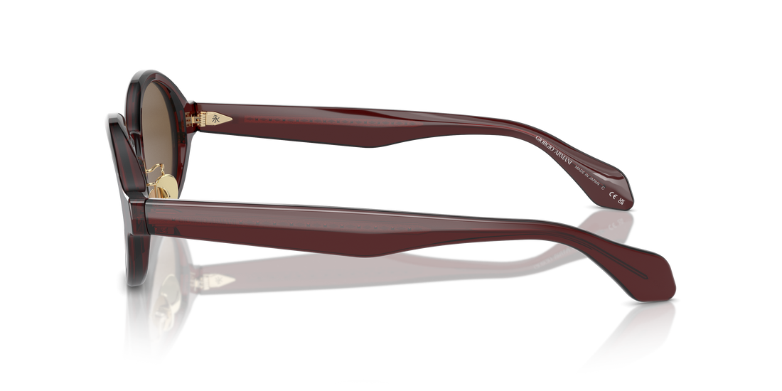 GIORGIO ARMANI AR8205 606273 46