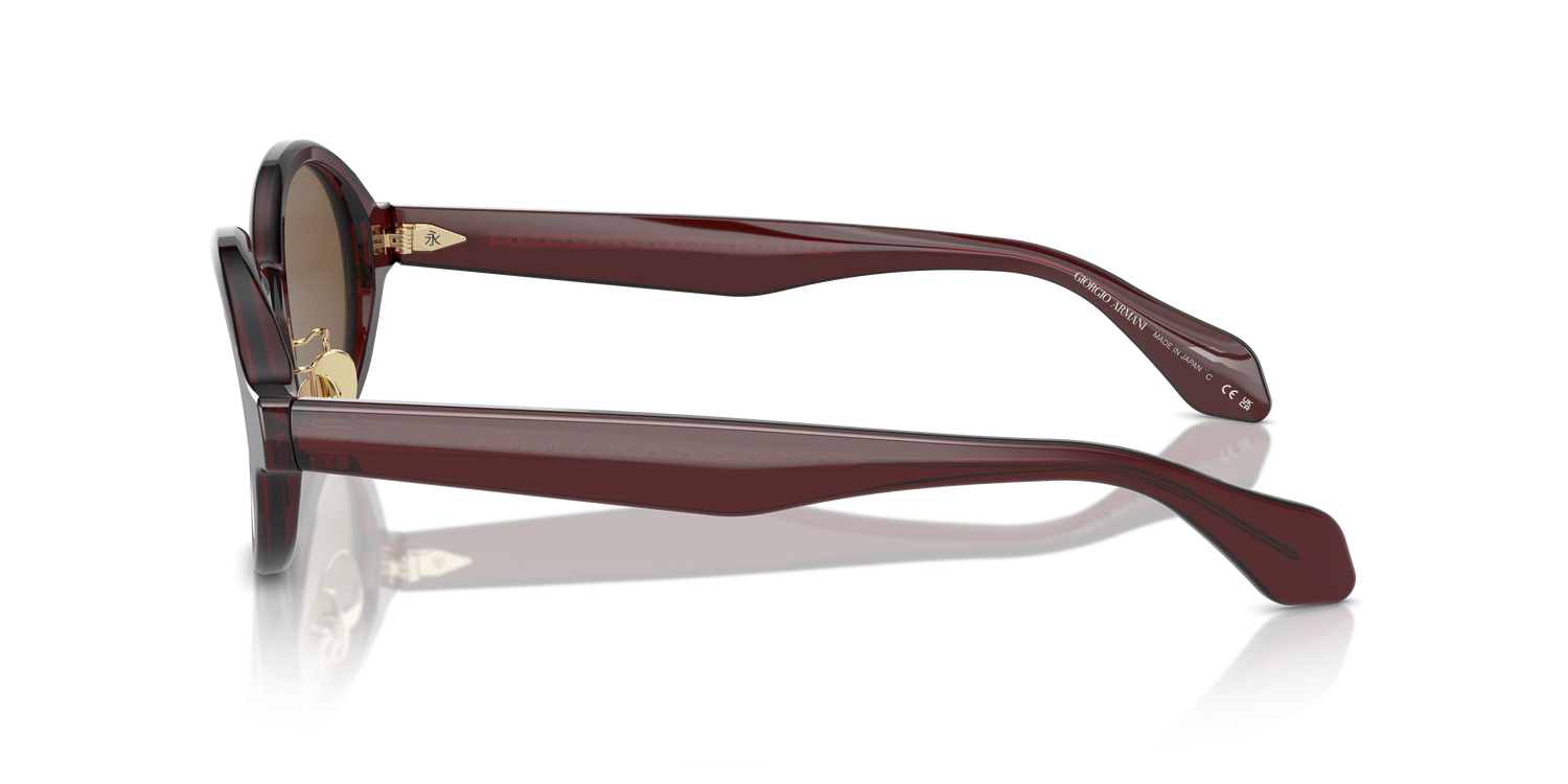 GIORGIO ARMANI AR8205 606273 46