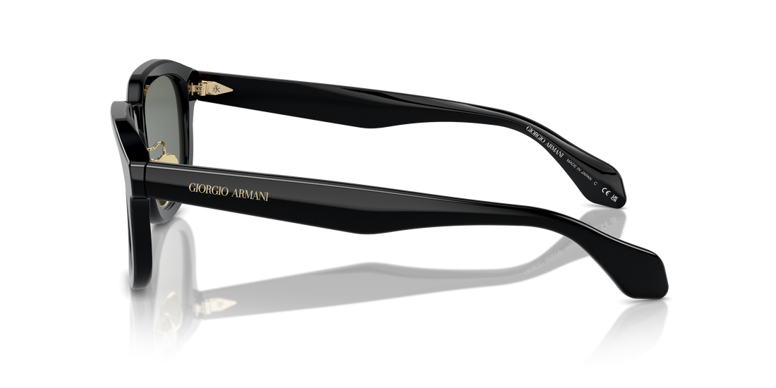 GIORGIO ARMANI AR8206 6060/1 51