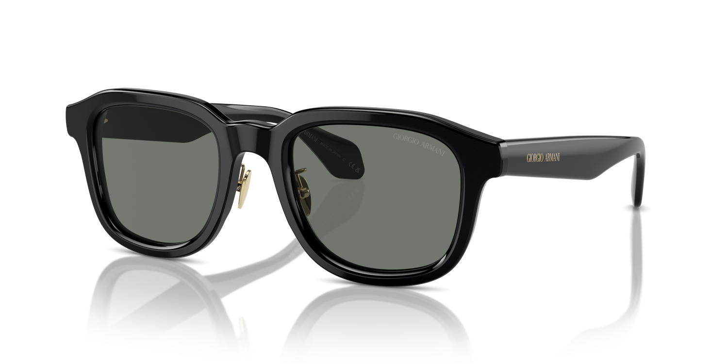 GIORGIO ARMANI AR8206 6060/1 51