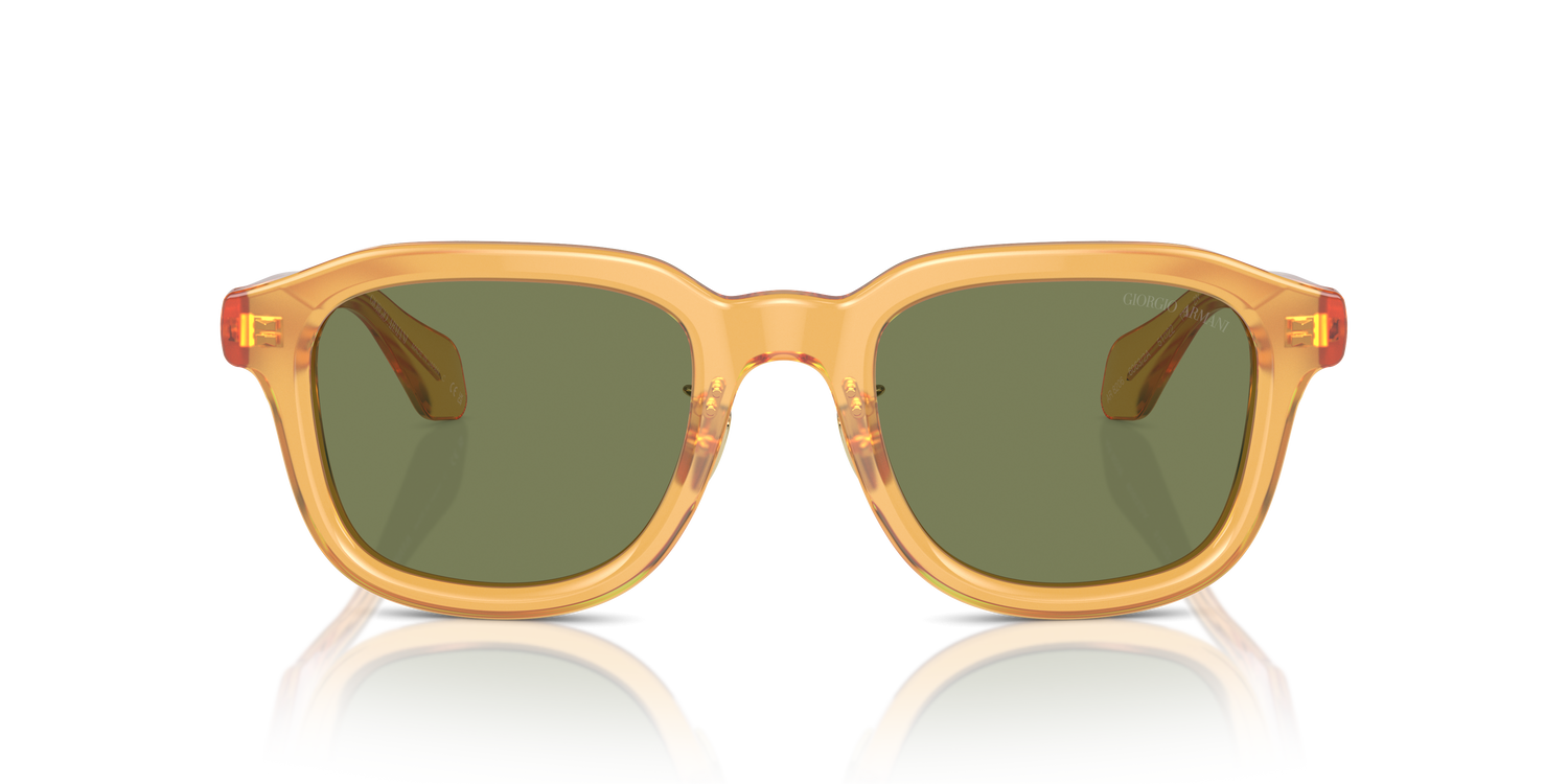 GIORGIO ARMANI AR8206 60632A 51