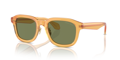 GIORGIO ARMANI AR8206 60632A 51