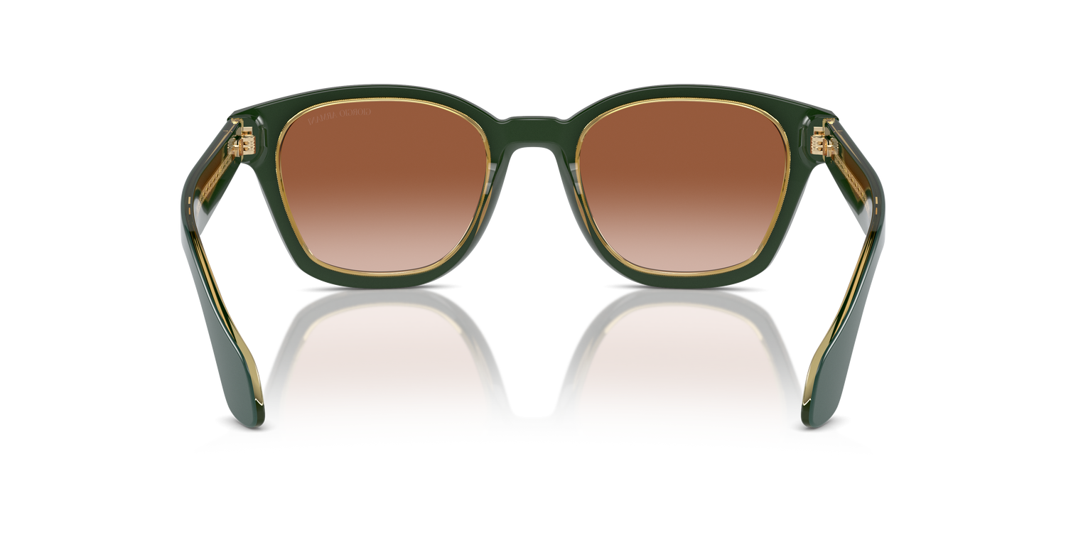 GIORGIO ARMANI AR8207 608613 50