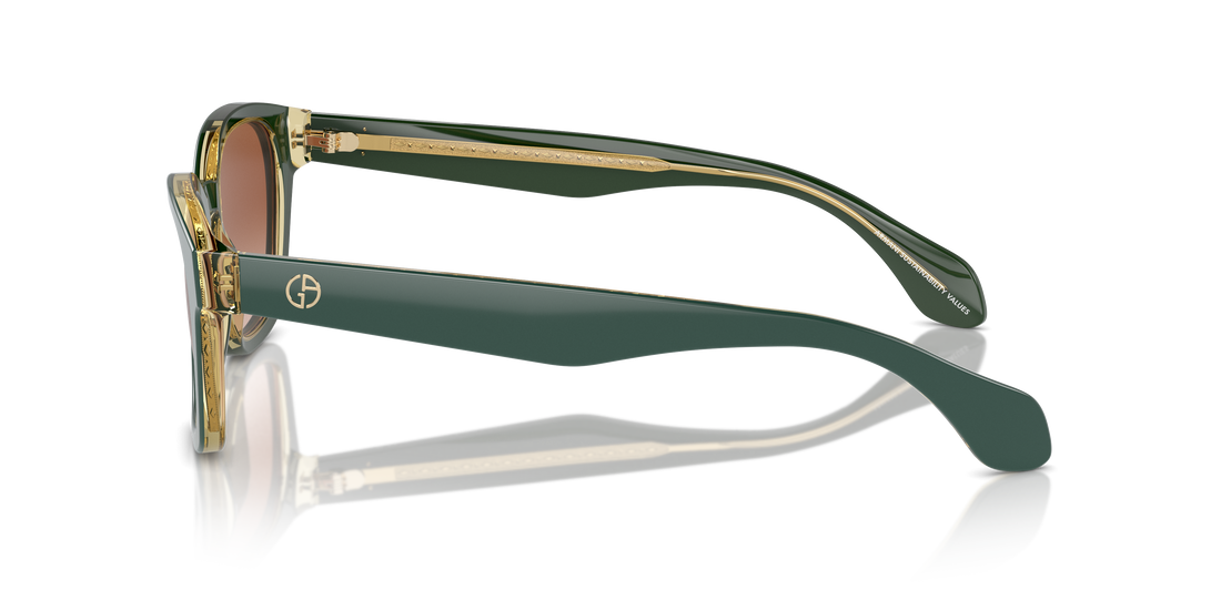 GIORGIO ARMANI AR8207 608613 50