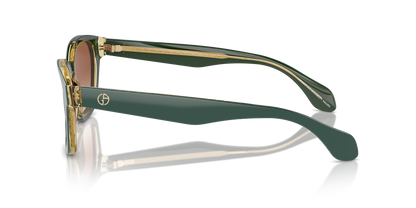 GIORGIO ARMANI AR8207 608613 50