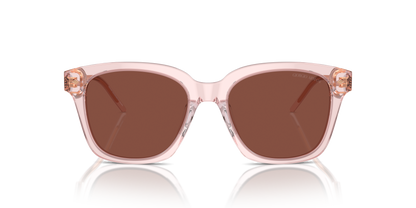 GIORGIO ARMANI AR8210U 6073C5 52