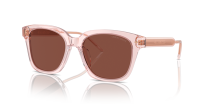 GIORGIO ARMANI AR8210U 6073C5 52