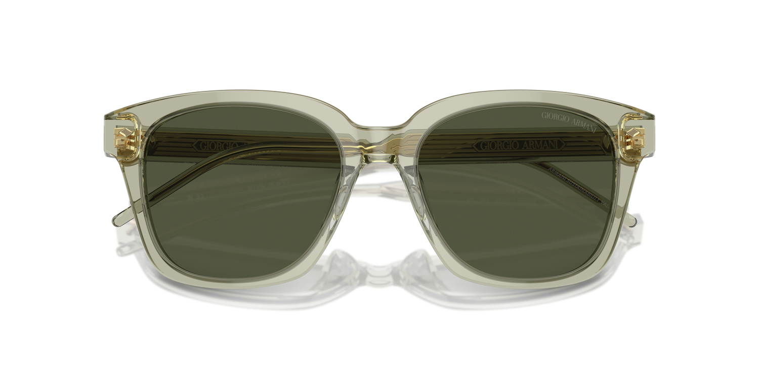 GIORGIO ARMANI AR8210U 608331 52