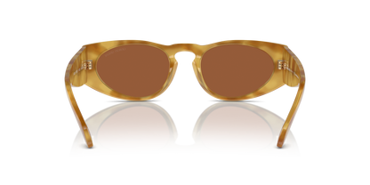 GIORGIO ARMANI AR8216 597973 51